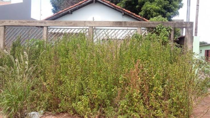 Prefeitura de Campo Grande dá 30 dias para proprietários corrigirem irregularidades em terrenos urbanos - Imagem do artigo