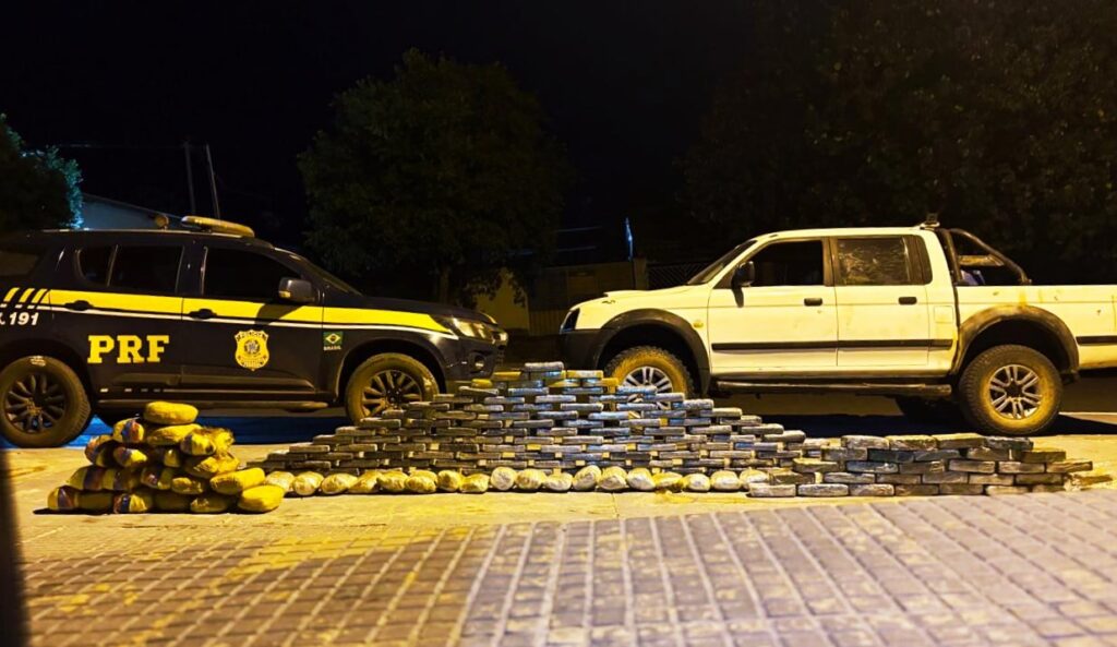 Polícia prende motorista com 181 kg de cocaína e skunk na BR-419