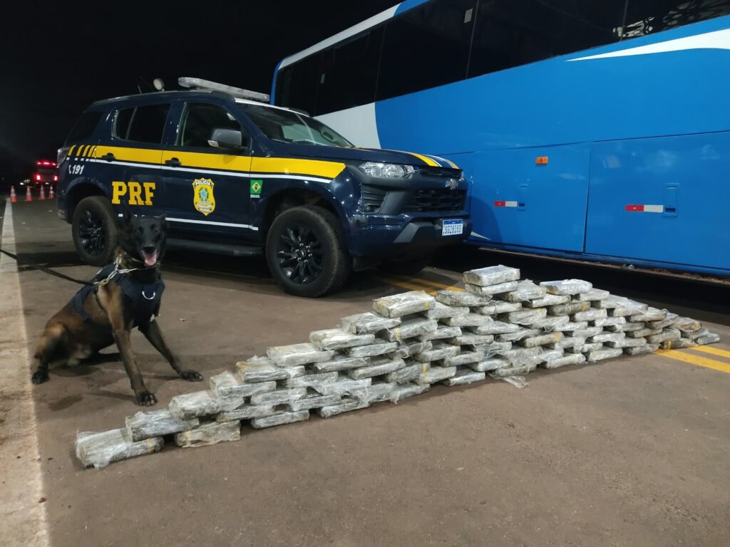 Operação Vastum na BR-262 prende 37 e apreende mais de 313 kg de drogas em MS
